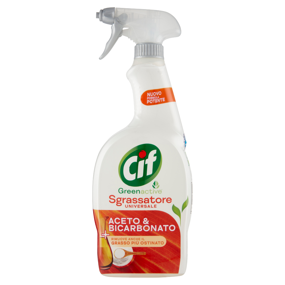 QUASAR Detergente Sgrassatore Candeggina Spray, Flacone 650 ml - Detergenti  Multiuso