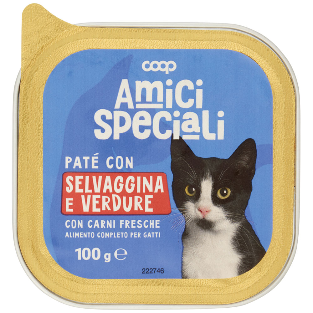 KITEKAT - Bocconcini con Tonno cibo umido per gatti confezione 48 buste da  100 g